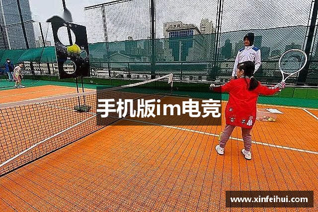 手机版im电竞
